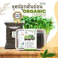 ราคา ชุดปลูกต้นอ่อนผักบุ้ง ชุดปลูกผักปลอดสาร ชุดพร้อมปลูกต้นอ่อน ชุดปลูกพร้อมเมล็ดพันธุ์ผัก ชุดปลูกผัก organic 100% (14148389069)