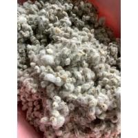 ราคา เมล็ดฝ้าย 100 เมล็ด ดอกฝ้ายสีขาว ปุยฝ้าย เมล็ดพันธุ์ดอกฝ้าย เมล็ดดอกฝ้าย ฝ้าย เมวล็ดฝ้าย เมล็ดฝ้ายสีขา (16096095423)