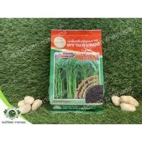 ราคา ผักบุ้งจีนไผ่สีทองขนาด1กิโลกรัม (11876486234)