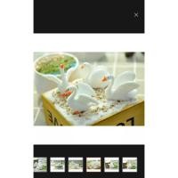 ราคา ตุ๊กตาเรซิ่น​ ชุดห่าน​ จัดสวนถาด​ สวนขวด​ เซต4ตัว​ (23707428203)