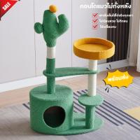 ราคา คอนโดแมว คอนโดมินิ คอนโด 2 ชั้น รูปกระบองเพชร หอคอย คอนโดผ้าแมวนุ่ม ทาวเวอร์แมวปีน พร้อมเครื่องเล่น (29250097336)