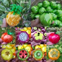 ราคา เหรียญโปรยทาน เซตผลไม้รวม(ตัวเปล่า)ยังไม่ใส่เหรียญ #จำนวน10ชิ้น เหรียญโปรยทานงานบุญ/งานบวช (19439451794)