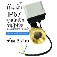 ราคา มอเตอร์ วาล์ว ไฟฟ้า กันน้ำ ทองเหลือง บอลวาล์ว 2 WAY 2 สีขาว 24VDC ขนาด 4 หุน,6 หุน,1นิ้ว,1.5 นิ้ว, 2นิ้ว ปกติปิด (25313116236)