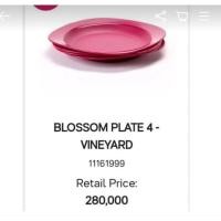 ราคา ชุดจานดอกรายอ 4***** (21978413132)