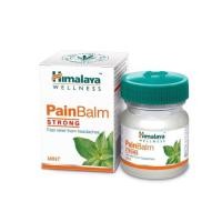 ราคา ของแท้ Himalaya Pain Balm 10g (6205061764)