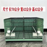 ราคา สีเทากลืนพันธุ์สีเหลืองชบาเพาะพันธุ์กรงเพาะพันธุ์กรงนกหยกสีทองธรรมชาตินกนกนกขมิ้นใหญ่สัตว์เลี้ยงนก เรา5 (51904471815)