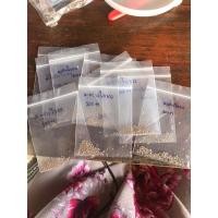 ราคา มะพร้าวทะเลทราย ใบยาวDorstenia Foetida (3995631553)