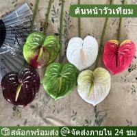 ราคา *พร้อมส่ง*ดอกหน้าวัวปลอมหลากสี ดอกไม้แต่งแจกัน(พร้อมส่ง) ( ดอกหน้าวัว ) (41276831845)