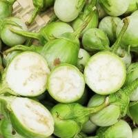 ราคา Thai Eggplant Seeds เมล็ดมะเขือตอแหล ตราภูเขาทอง งอกสูงมะเขือตอแหล เมล็ดมะเขือ เมล็ดมะเขืออ้อร้งอกสูง (46601522061)