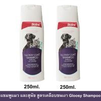 ราคา แชมพูสุนัข แชมพูแมว Bioline สูตรเคลือบขนเงา 250มล. (2ขวด) Bioline Glossy Coat Shampoo for Cat and Dog Shampoo 250ml.2pc (12301890952)