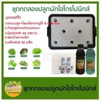 ราคา ชุดทดลองปลูกผักไฮโดรโปนิกส์ ปลูกผักไร้ดิน 8 ช่อง (สำหรับมือใหม่) (9315727589)
