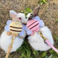 ราคา กระต่ายกระต่ายเดินกระต่ายเชือกกระต่ายเชือกลากปรับน่ารักเชือกลากป้องกันการแตกหักแคระกระต่ายกระต่ายกระต่ายกระต่ายออกนอกบ้านเชือก (42317476732)