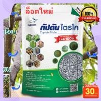 ราคา ไตรโคเดอร์มา (ขนาด 500กรัม) กัปตันไตรโค ฆ่าโรคเชื้อรา รักษาโรคเชื้อรา ไตรโครเดอมา (24127376921)