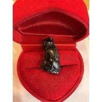 ราคา #0255 เสือหลวงพ่อปาน วัดมงคลโคธาวาส (วัดบางเหี้ย) จ.สมุทรปราการ (18359749631)