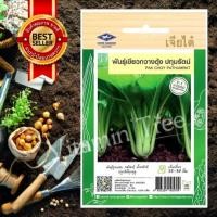 ราคา เมล็ดพันธุ์ กวางตุ้ง พันธุ์เขียวกวางตุ้งปทุมรัตน์ PAK CHOY SEED เจียไต๋ เมล็ด ต้นไม้ เมล็ดผัก ผัก ผักสวนครัว สลัด (2982716075)