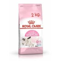ราคา Babycat Royal Canin 2kg (18305666146)