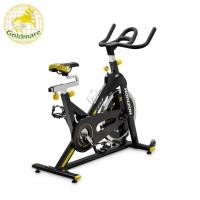 ราคา Goldmare จักรยานนั่งปั่น (Upright Bike) Horizon รุ่น GR3 (2358169319)