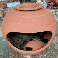 ราคา โอ่งแมว บ้านแมวดินเผาขนาดใหญ่(แมว6โลนอนได้) (17183848693)