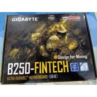 ราคา GIGABYTE B250-FINTECH LGA1151 (13843398634)