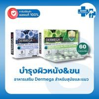 ราคา (1 กล่อง) Dermega Omega 3 Algae Oil บำรุงขนผิว ลดคัน ผิวอักเสบ สำหรับสุนัขแมว S/XL 60 แคปซูล Coatex (42328318474)