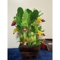 ราคา ต้นกล้วยไม้มงคล ต้นกล้วยดินปั้น ของขวัญเทศกาลต่างๆ ต้นกล้วยตกแต่งบ้าน กิจการร้านค้า กล้วยมงคลงานดินปั้น (11207079790)