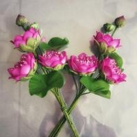 ราคา ดอกบัว บัว ดอกบัวชมพู บัวชมพู ชุดดอกบัวชมพู (2351313972)