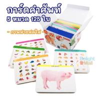 ราคา พร้อมส่งFlash Cards การ์ดคำศัพท์ 2 ภาษา (5 หมวด 125 ใบ : 6 หมวด 90 ใบ) แฟลชการ์ด บัตรคำศัพท์ (8874264095)