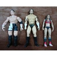 ราคา โมเดลนักมวยปล้ำ WWE จุดขยับ มือ 2 สภาพดี พร้อมส่ง (29300874868)