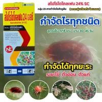 ราคา กำจัดไร สไปโรไดโคลเฟน 24% SC สารกลุ่มเดียวกับ โอเบรอน สารกำจัดไร ทุกชนิด ทุกระยะ ไข่ ตัวอ่อน ตัวแก่ สูตรเย็น ผ่าดอกได้ (27021024743)