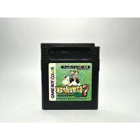 ราคา ตลับแท้ Game Boy Color (japan) Bokujou Monogatari GB2 (Harvest Moon 2) (21366839331)