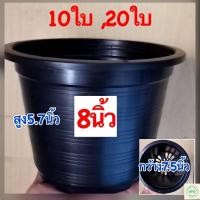 ราคา กระถางต้นไม้พลาสติก8นิ้ว กระถางพลาสติก8นิ้ว กระถาง8นิ้วราคาส่ง10ใบ,20ใบ (13334200927)