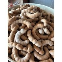 ราคา มะขามหวานฟักพันธุ์สีทองแท้จากเพชรบูรณ์ (53706952433)