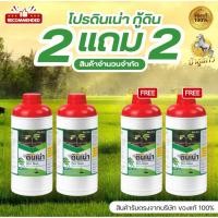 ราคา [New โปรดินเน่าซื้อ2แถม2] “ดินเน่า” กู้ชีพดินเสื่อม เปลี่ยนดินเสีย เป็นดินดี ด้วยดินเน่า!! (29221038469)