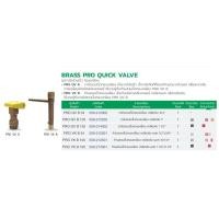 ราคา BRASS PRO QUICK VALVE ชุดวาล์วสวมเร็วทองเหลือง (52252211327)