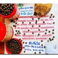 ราคา (พร้อมส่ง) กำลังไก่ชน กุสุมาลูกกลอน สมุนไพรลูกกลอนไก่ เสริมกำลังไก่ชน #สมุนไพรบำรุงไก่ ใช้สำหรับบำรุงไก่ชน #เสริมกำลัง (20100234956)