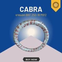ราคา ยางนอก CABRA BKF 250-18 M912 (46850380010)