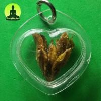 ราคา ดอกเถาวัลย์หลง เลี่ยมกรอบบ เถาหลง ว่านเถาหลง เถาวัลย์หลง จี้เถาหลง เครื่องราง (4171690637)