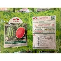 ราคา แตงโมคิมสัน เรด F1 ขนาดปริมาณ 40 กรัม (27414615219)