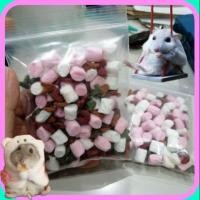 ราคา ขนมแฮมสเตอร์ มาร์ชเมลโล่แฮมสเตอร์ แบ่งขาย คละแบบ คละรส ขนมหนู ขนมกระต่าย ขนมแฮมสเตอร์ วอลนัท แฮมสเตอร์ (6220514491)