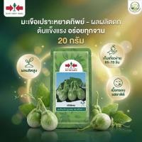 ราคา มะเขือเปราะ หยาดทิพย์ ทรงกลม ติดดก ทนโรค เมล็ดพันธุ์ มะเขือ มะเขือลูกผสม ตราศรแดง บรรจุ 20 กรัม (44128844871)