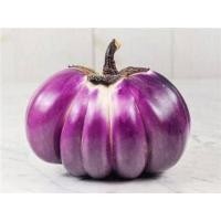 ราคา มะเขือจานม่วง เมล็ดพันธุ์ 40-100 เมล็ดมะเขือเปราะ จานสีม่วง <10 แถม 1 คละได้> งอกดี ปลูกง่าย โตไว ผลผลิตสูง (24903943316)