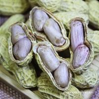 ราคา [ถั่วลิสงอบเกลือ] ถั่วลิสงต้มหลงเหยียน ถั่วลิสงกระเทียม ถั่วลิสงเครื่องเทศ ถั่วลิสงแห้งเค็มต้ม เค็ม [ย] (40229040421)