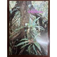 ราคา [มือสอง/สภาพดี]หนังสือ “ป่าพรุโต๊ะแดง” (54002890073)