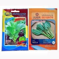 ราคา เมล็ดคะน้า คะน้าต้น คะน้ายอด (ประมาณ 1800 เมล็ด) (452003272)