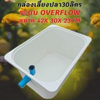 ราคา อ่างเลี้ยงปลาสีขาว ท่อสีฟ้า ขนาด 42x30x23 CMระบบover flow สำหรับเลี้ยงปลา อ่างเลี้ยงปลา อ่างปลาบอลลูน อ่างปลาเมดากะ (44319955664)