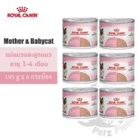 ราคา Royal Canin Mother&BabyCat Mousse อาหารชนิดเปียก แบบกระป๋อง สำหรับแม่แมวและลูกแมวอายุ1-4เดือน 195g x 6กระป๋อง (1161831224)