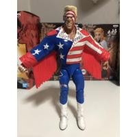 ราคา โมเดล มวยปล้ำ wwe sting defining moment (3654660354)