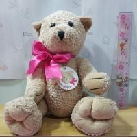 ราคา Claire's Club Teddy Bear Plush Stuffed Animal Moving Arms Legs Pink Bow/ตุ๊กตาหมีขยับแขนขาได้ ของแท้ญี่ปุ่น มือสอง (41107875561)