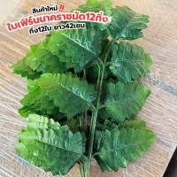 ราคา ใบเฟิร์นมัด12กิ่ง กิ่ง12ใบ ยาว42เซน เฟิร์นนาคราช Flowers (26180149951)