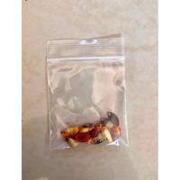 ราคา เมล็ดแก้วเจ้าจอม 6 ใบ (10เมล็ด) (56807440765)